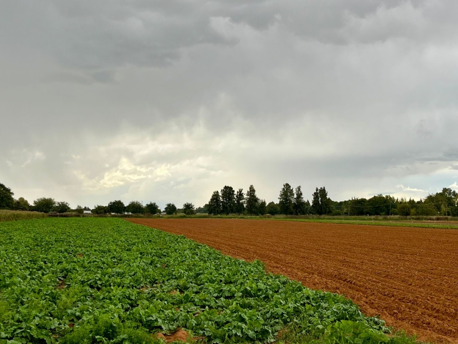 4 Bedroom Property for Sale in Bainsvlei Free State